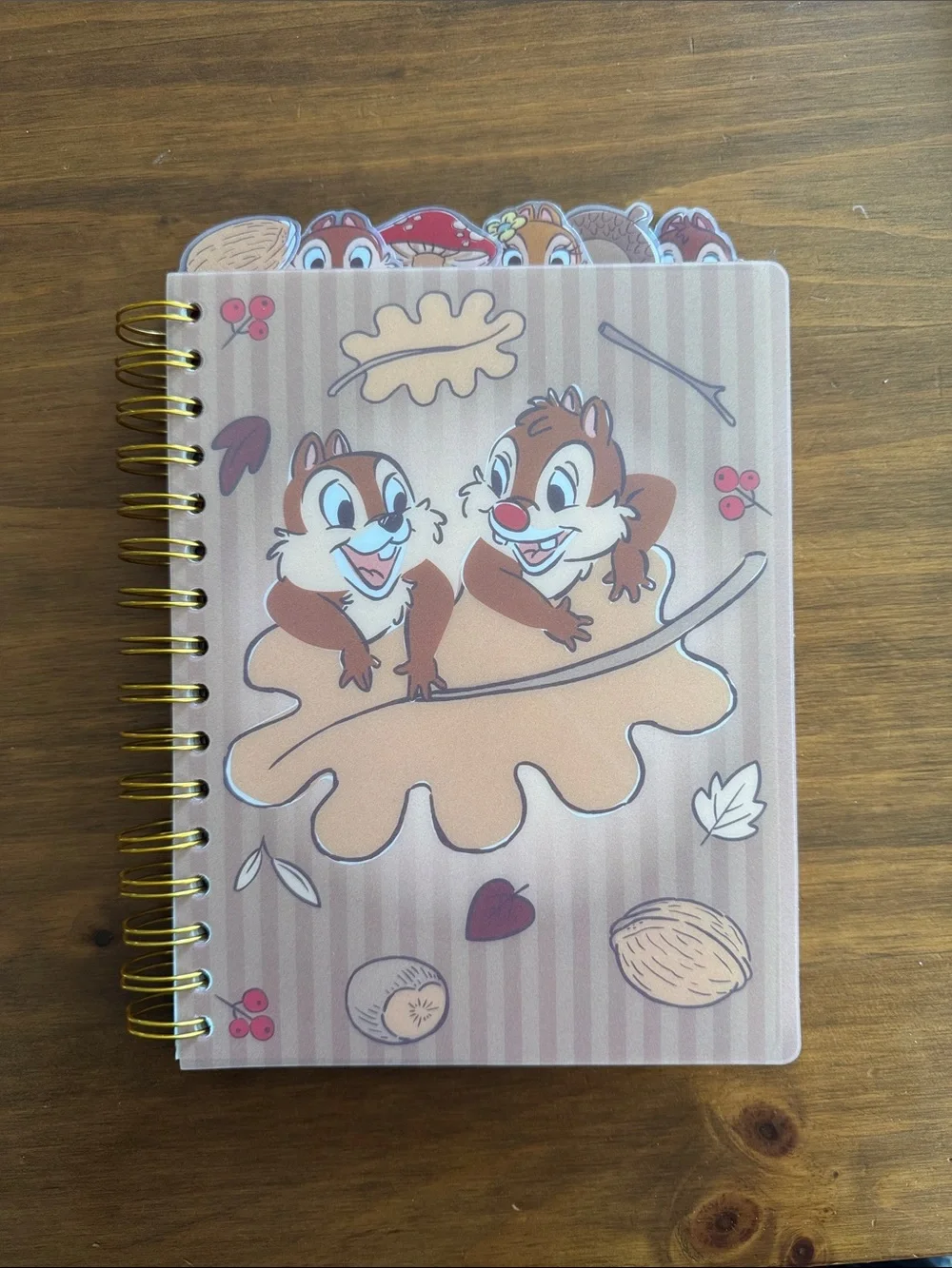 Disney Chip 'n' Dale Fall Leaf Spiral Notebook – Brown & Gold